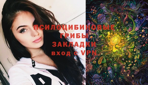мяу мяу мука Богданович