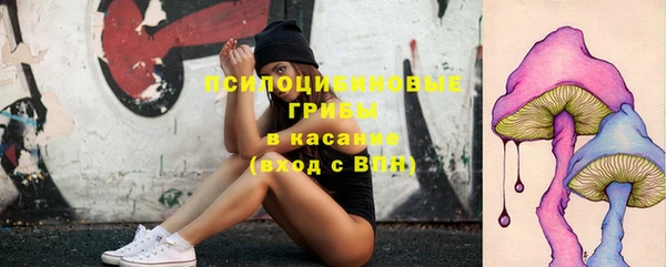 мяу мяу мука Богданович
