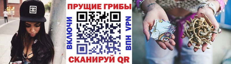 купить наркоту  Наро-Фоминск  Псилоцибиновые грибы GOLDEN TEACHER 